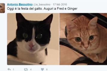 Di gatti, Antonio Bassolino,  ne ha due, Ginger e Fred: qui li festeggia su twitter