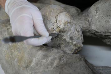 «Gli amanti» e l’abbraccio gaydi 2.000 anni fa a Pompei