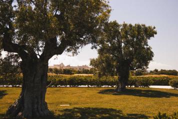 Terme, orecchiette stellate e un green da 18 buche: dentro Borgo Egnazia, resort da 4.300 euro a notte che ospiterà il G7