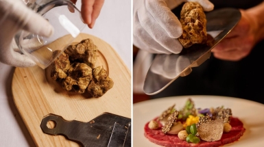 Tartufo, istruzioni per l’uso. Dalla «trappola» del profumo assente alla formula per riconoscere quello giusto. I posti dove gustarlo a Milano e dintorni