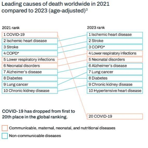 Quanto viviamo in media? Vent'anni di più. Ma aumentano i decessi tra i giovani e cresce la disuguaglianza sanitaria globale