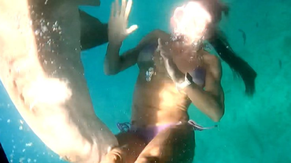 Squalo morde turista in Brasile: il video choc dell'attacco