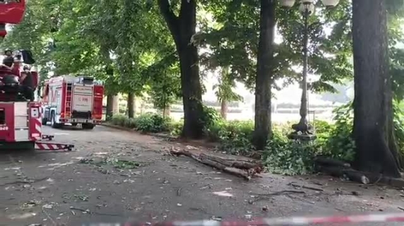 Parco delle Cascine, grosso ramo ferisce una ragazza
