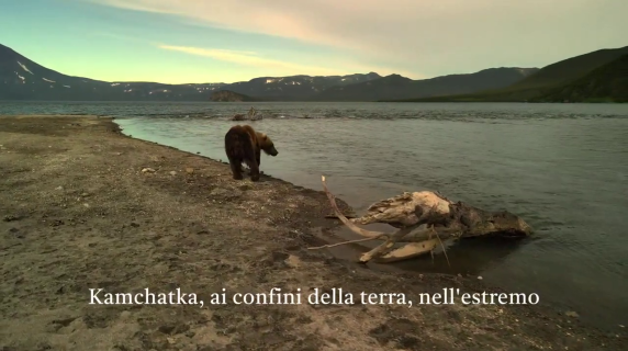 Nel regno degli orsi della Kamchatka: il lungo viaggio per la sopravvivenza in una terra selvaggia e inospitale