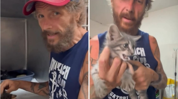 Jovanotti e l'appello all'adozione dei gattini: «Ragazzi, fatevi sotto, ma trattateli bene. Io ne ho 6 a casa»