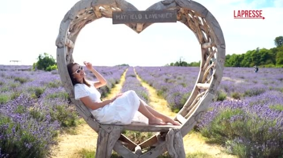 A Londra gli spettacolari campi di lavanda che fanno innamorare i turisti