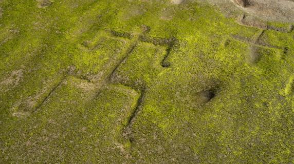 26 antiche incisioni rupestri hawaiane sono riapparse su una spiaggia di Waianae: è l'effetto del cambiamento delle maree