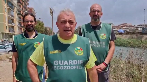 Coccodrillo a Ladispoli? Le guardie zoofile: «Non abbiamo trovato nulla»