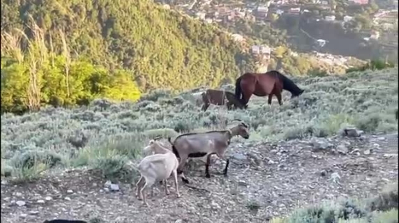 Il Doc Festival del Faito, dove le storie toccano la pelle del mondo