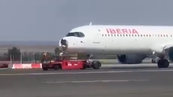 Madrid, paura in volo: uccello colpisce un aereo Iberia e distrugge il muso – atterraggio d’emergenza