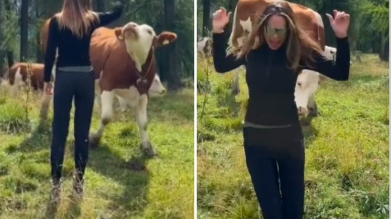 Vacanze a Cortina, Ilary Blasi (quasi) come Heidi: gioca con una mucca, ma scappa terrorizzata