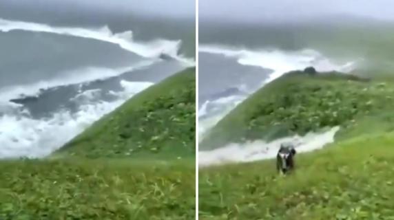 Lo tsunami si abbatte sulle isole Curili e il cane si salva per un pelo