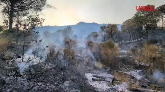 La denuncia delle associazioni dopo gli incendi sul Vesuvio: «Alla base del disastro mancate bonifiche e manutenzioni dei sentieri»