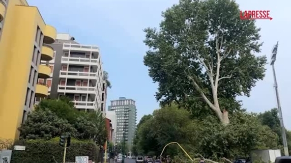 Milano, crolla un ramo su un'auto in transito: paura in via Canonica