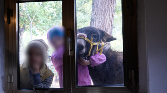 «Senza acqua corrente e senza scuola ma felici. Perché volete portarci via i nostri bimbi?»