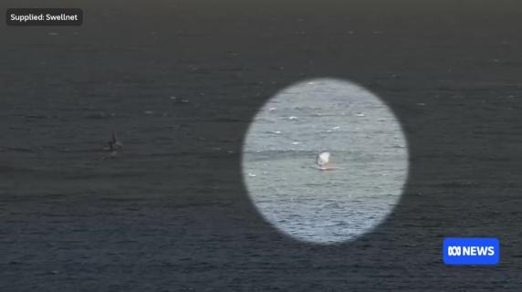 In un video il momento in cui uno squalo attacca un surfista in Australia: «Ho pensato di morire, l'ho colpito con dei pugni»