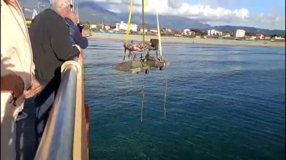 Marina di Pietrasanta, le copie dei Bronzi di Riace salutano il pontile (dopo tre anni)