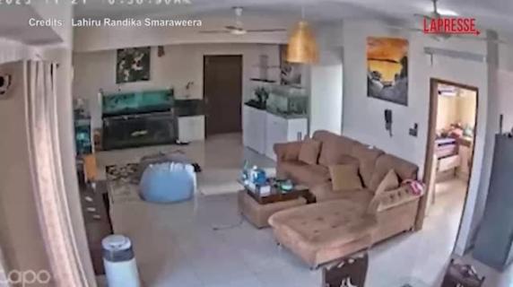 L'acqua che fuoriesce dalle vasche dei pesci, la signora che non riesce a camminare: le immagini del terremoto in Bangladesh