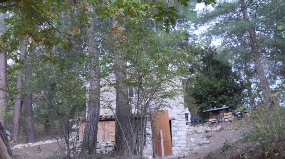 Il videoracconto da Palmoli: «Da Campobasso per aiutare la famiglia del bosco», ma nel casolare non c’è più nessuno. La fruttivendola: «Qui in tanti vivono come loro»
