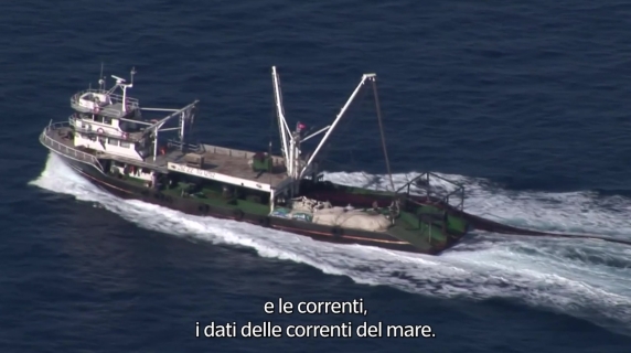 Il primo impianto in Italia per l'ingrassamento dei tonni rossi in Costiera Amalfitana: dubbi e polemiche