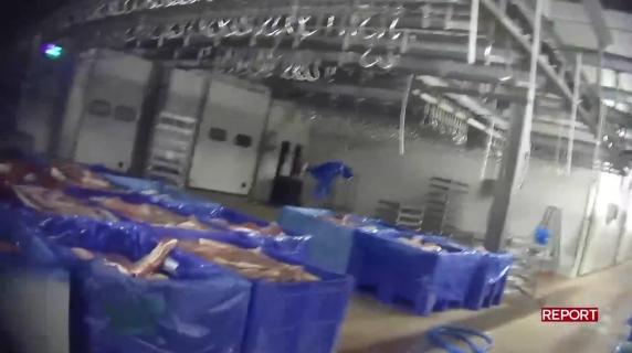 Lo scandalo della carne scaduta rimessa in commercio nel servizio di «Report»