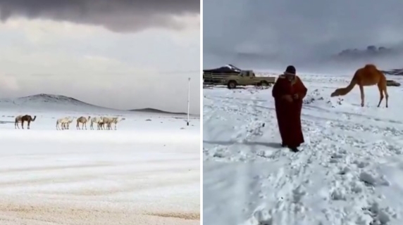 Neve in Arabia Saudita, non accadeva da 30 anni: il deserto si tinge di bianco | Il video