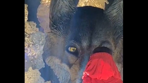 Viareggio, il carro del Carnevale che invita a vincere le paure