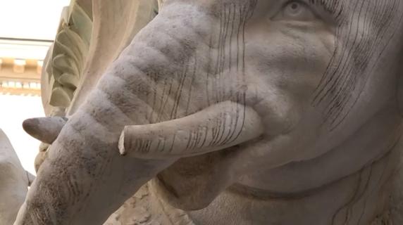 Danneggiato l'Elefantino del Bernini, a Roma: le immagini della zanna spezzata