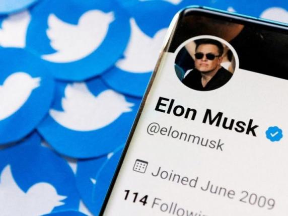 Twitter, tutte le (vere) alternative al social network ora che è arrivato Elon Musk