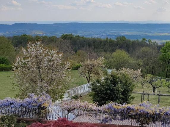 Il Giardino Al Chiaro Di Luna - Libro O Prodotto Decorativo Per Appassionati Di Giardinaggio