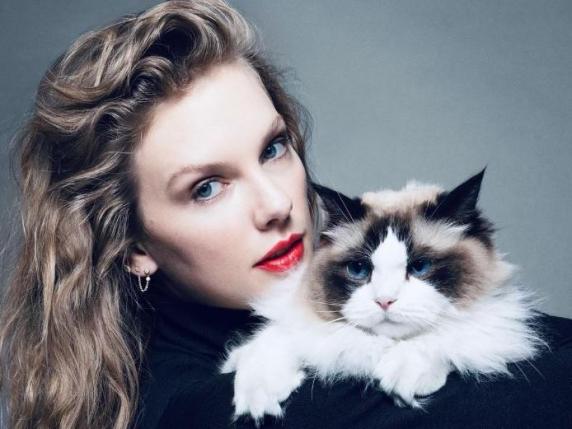 L'endorsement (ironico) di Taylor Swift: annuncia l'appoggio a Kamala e si firma «gattara senza figli»