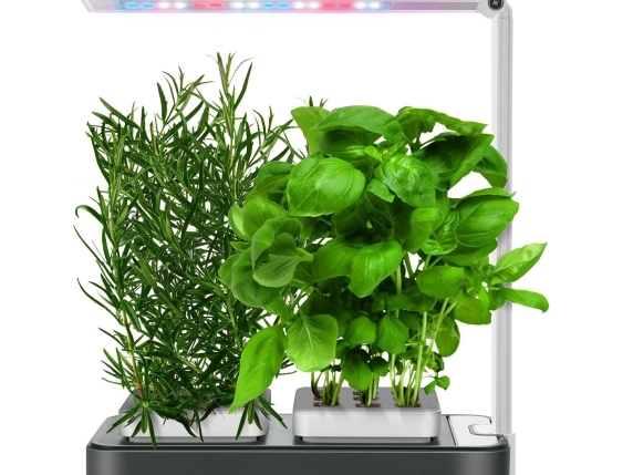 Vassoi 4 Scomparti Biodegradabili E Compostabili - Foto 3