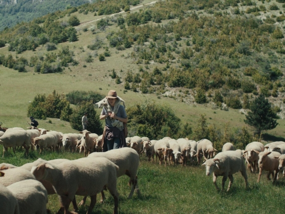 Mollo tutto e faccio il pastore. Quando i monti non sorridono e le caprette non fanno ciao - Il video