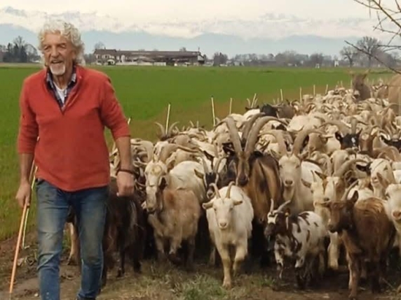 Alba, arriva un gregge di mille pecore per pulire il parco Tanaro. L'Sos lanciato dall'amministrazione comunale