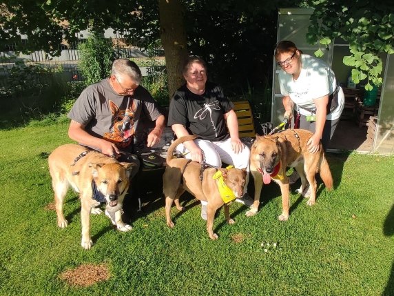 Il cane Fluke, da un canile di Roma alla nuova famiglia in Baviera: la leishmaniosi non lo ha fermato - Le storie