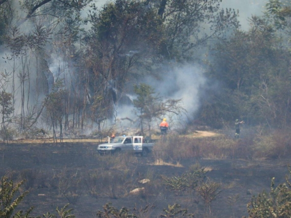 Incendi a Roma: brucia la  Valle dell'Aniene, fiamme vicino all'aeroporto di Fiumicino e a Capannelle