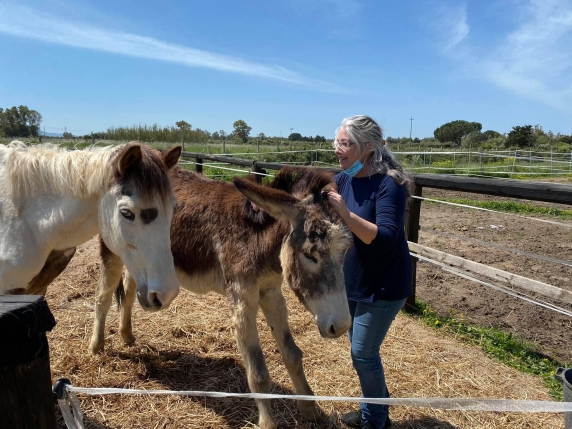 «Effetto Palla», asini e cavalli abbandonati salvati da Monica Pais ora aiutano giovani e donne in difficoltà