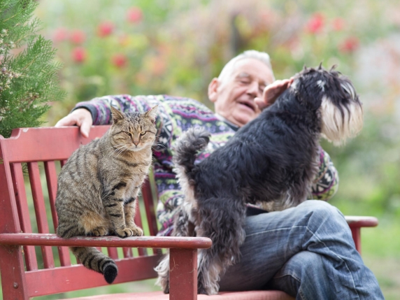La compagnia di cani e gatti ferma il declino cognitivo negli over 50. Lo studio