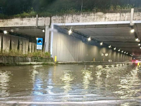 Serata di vento a 98 chilometri orari, pioggia e tantissimi alberi caduti