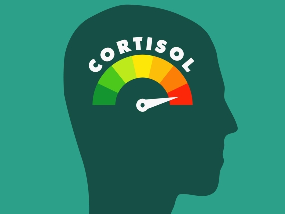 Cinque strategie naturali per abbassare il cortisolo e l’infiammazione