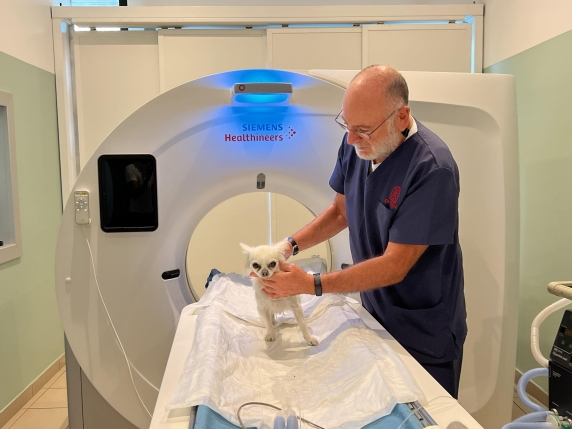 «Curo i tumori più terribili nei cani con le cellule staminali. Tutto iniziò con la promessa fatta a mia moglie, morta per glioblastoma» «Curo i tumori più terribili nei cani con le cellule staminali. Tutto iniziò con la promessa fatta a mia moglie, morta per glioblastoma»
