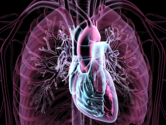 Primo al mondo: trapianto di arteria polmonare in paziente con tumore polmonare infiltrante dell'arteria, un importante passo avanti nella lotta contro il cancro