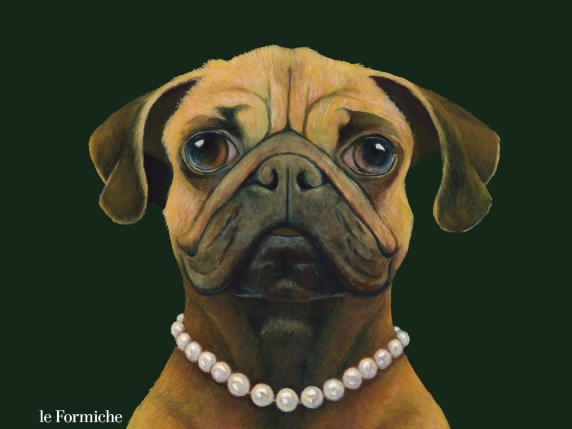 La vita da cane di casa non è sempre facile: capire le esigenze dei nostri amici a quattro zampe per una vita felice e sana