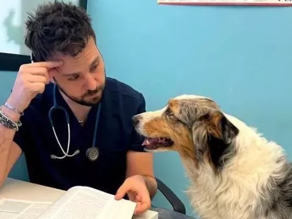 Avere un cane porta cambiamenti: il veterinario Faranda spiega perché non sempre siamo pronti
