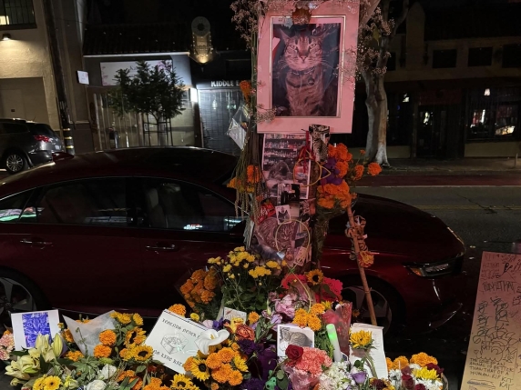 Nessun incidente tra robotaxi Google e gatto a San Francisco: verifica delle fonti