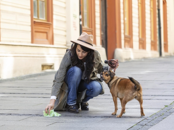 Tasse sui cani: Alto Adige ritira la proposta, Sicilia si oppone a nuove tariffe