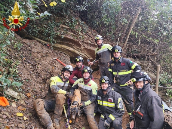 Cane salvato dai vigili del fuoco dopo essere finito in una buca
