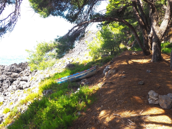 Ovid e la pineta di Cersuta di Maratea: un paesaggio di pino marittimo e mare