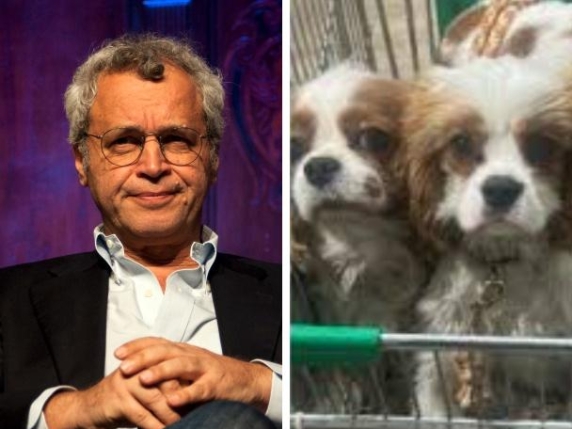 Enrico Mentana e i cani nel carrello al supermercato. Perché non è una cosa sbagliata, anzi