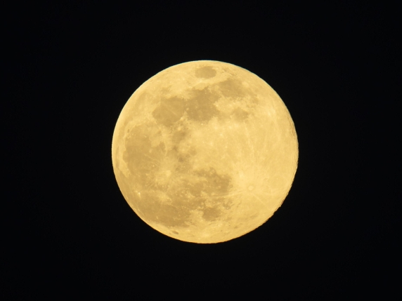 Superluna del Lupo: la prima superluna del 2026 e il suo significato